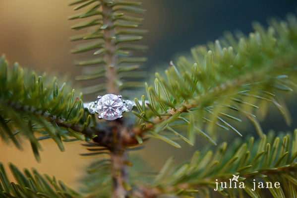 winter engagement session in connecticut by connecticut wedding photographer julia jane studios