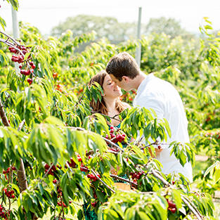 Wendy & Jon are Engaged!
A Cherry Picking Engagement Session in Connecticut