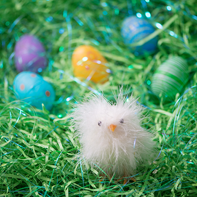 Happy Easter!