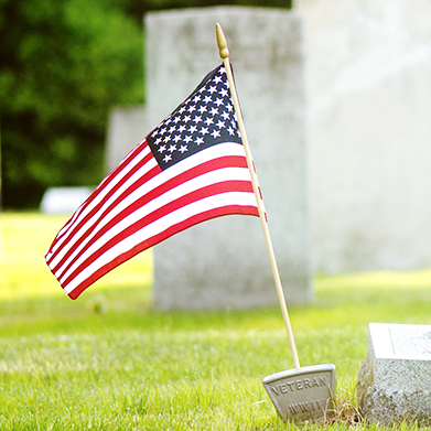 Thank you.
Memorial Day 2015