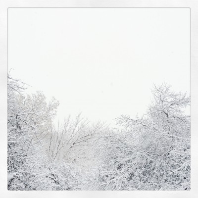 Snow Day